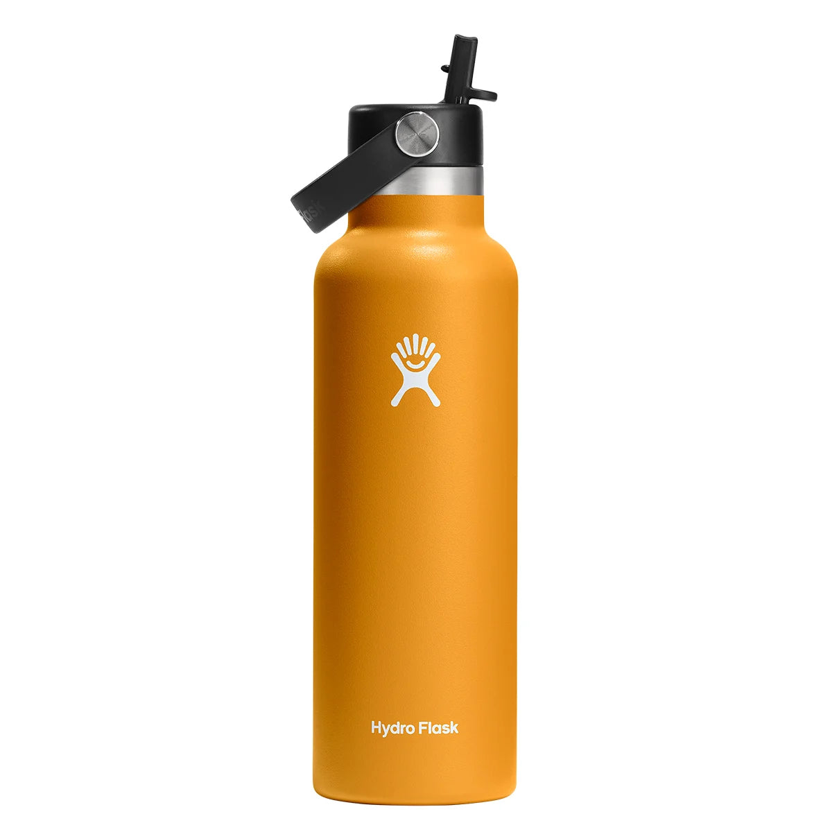 Hydro Flask 21 Oz Standard Mouth Bottle With Flex Cap (621ml) Colour: Fossil