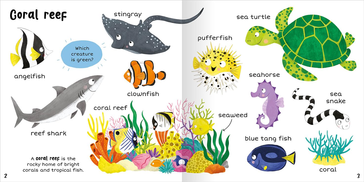 100+ First Words In The Sea - Miles Kelly (Paperback)