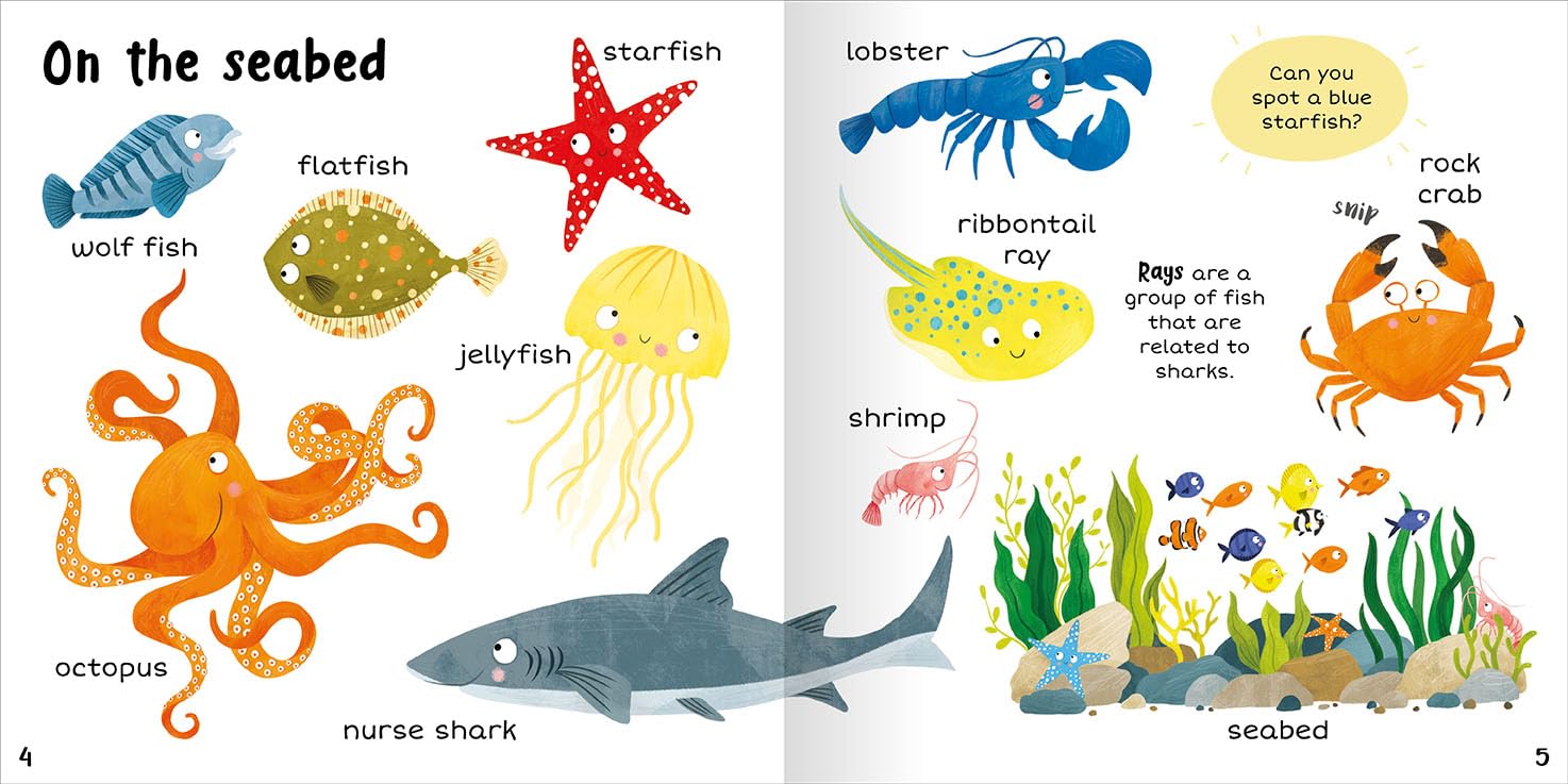 100+ First Words In The Sea - Miles Kelly (Paperback)