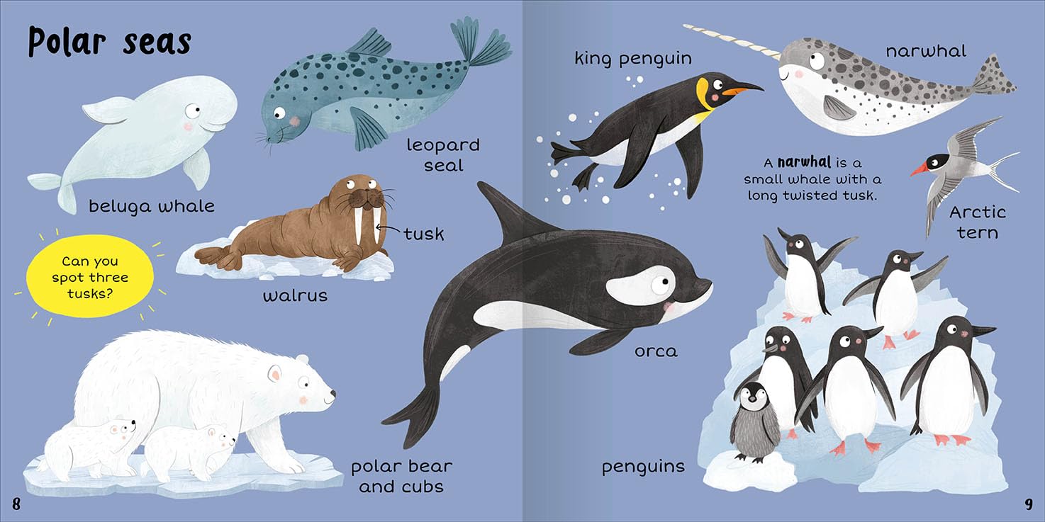 100+ First Words In The Sea - Miles Kelly (Paperback)