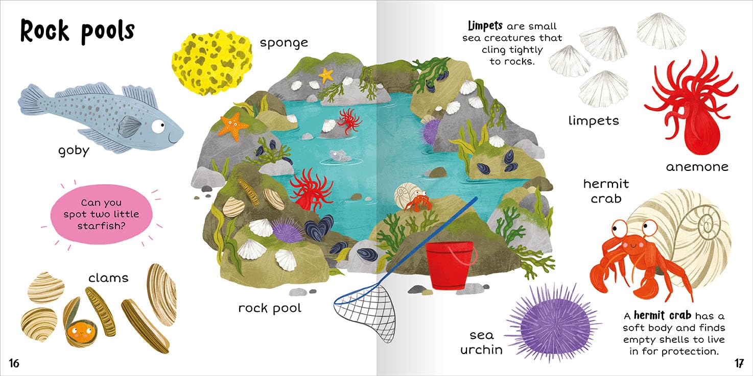 100+ First Words In The Sea - Miles Kelly (Paperback)