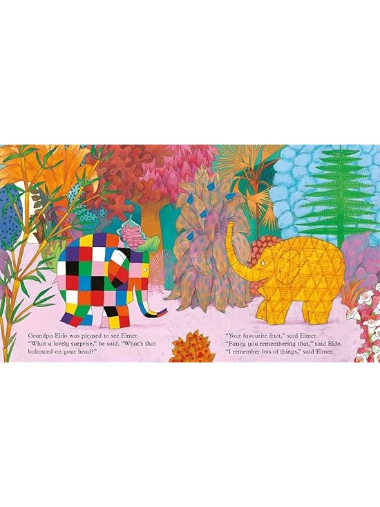 Elmer and Grandpa Eldo - David McKee (Paperback)