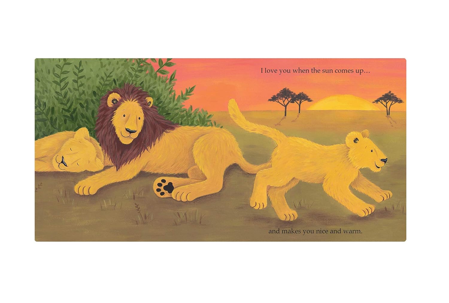 I Love you Little Lion - Joshua George and Lucy Boden (Paperback)
