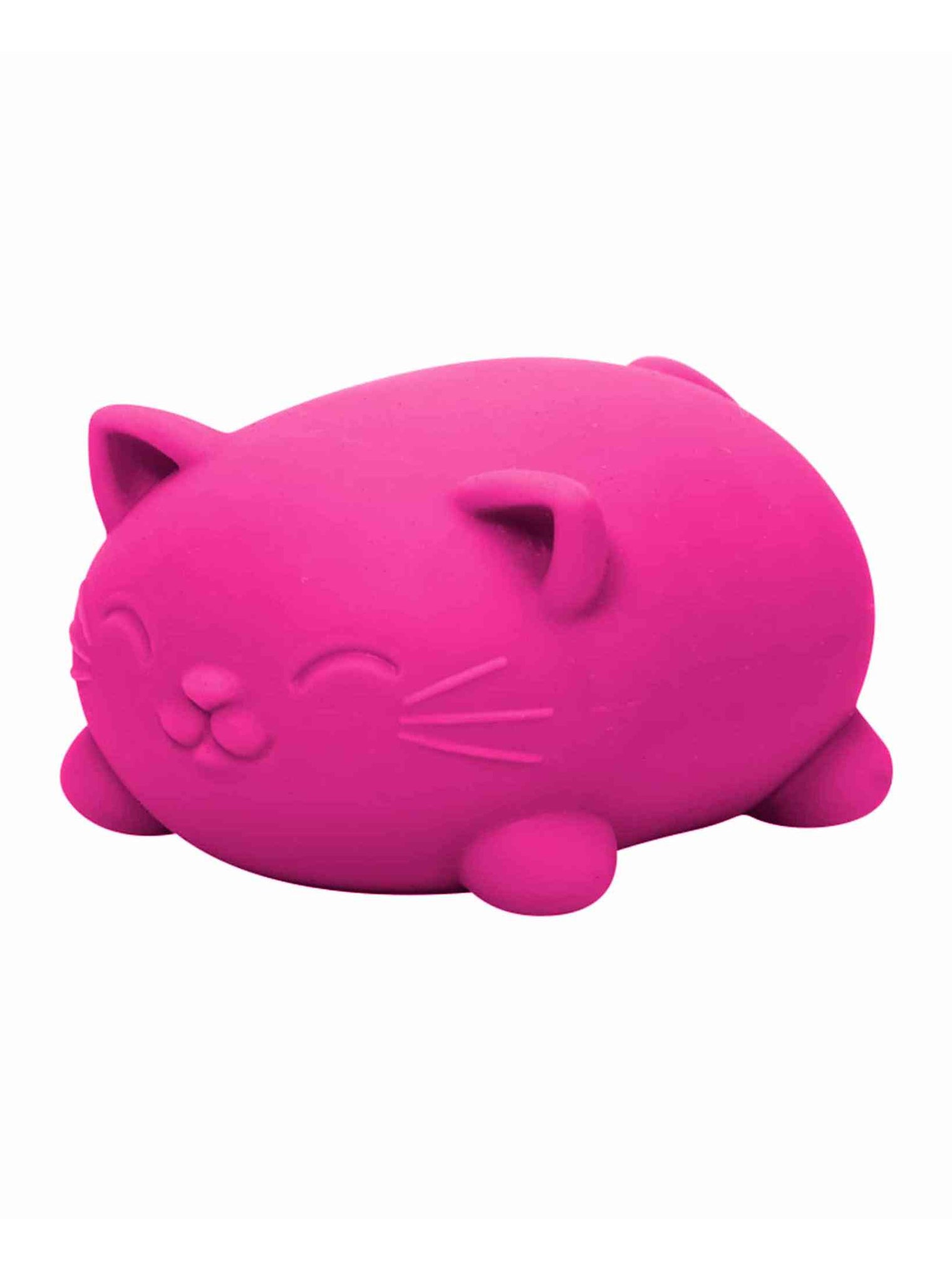 Schylling Cool Cats NeeDoh