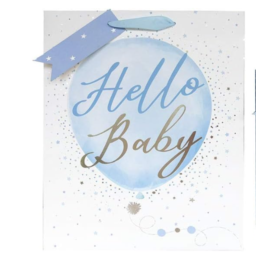 New Born Gift Bag - Blue(2 Sizes Available)