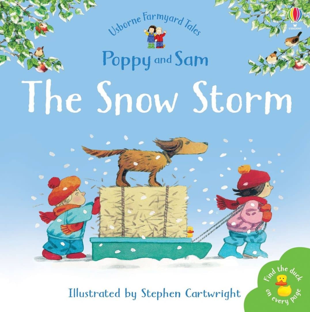 The Snow Storm - Stephen Cartwright (Paperback)