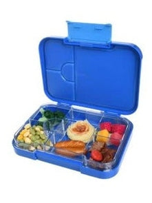 Blue Tritan Bento Lunch Box