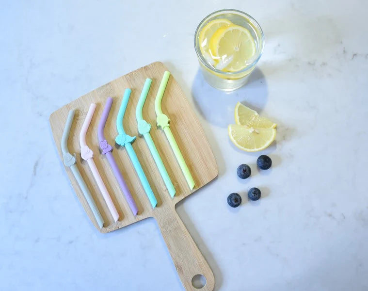 Melii Silicone Animal Straws with Cleaning Brush- Set of 6 pcs