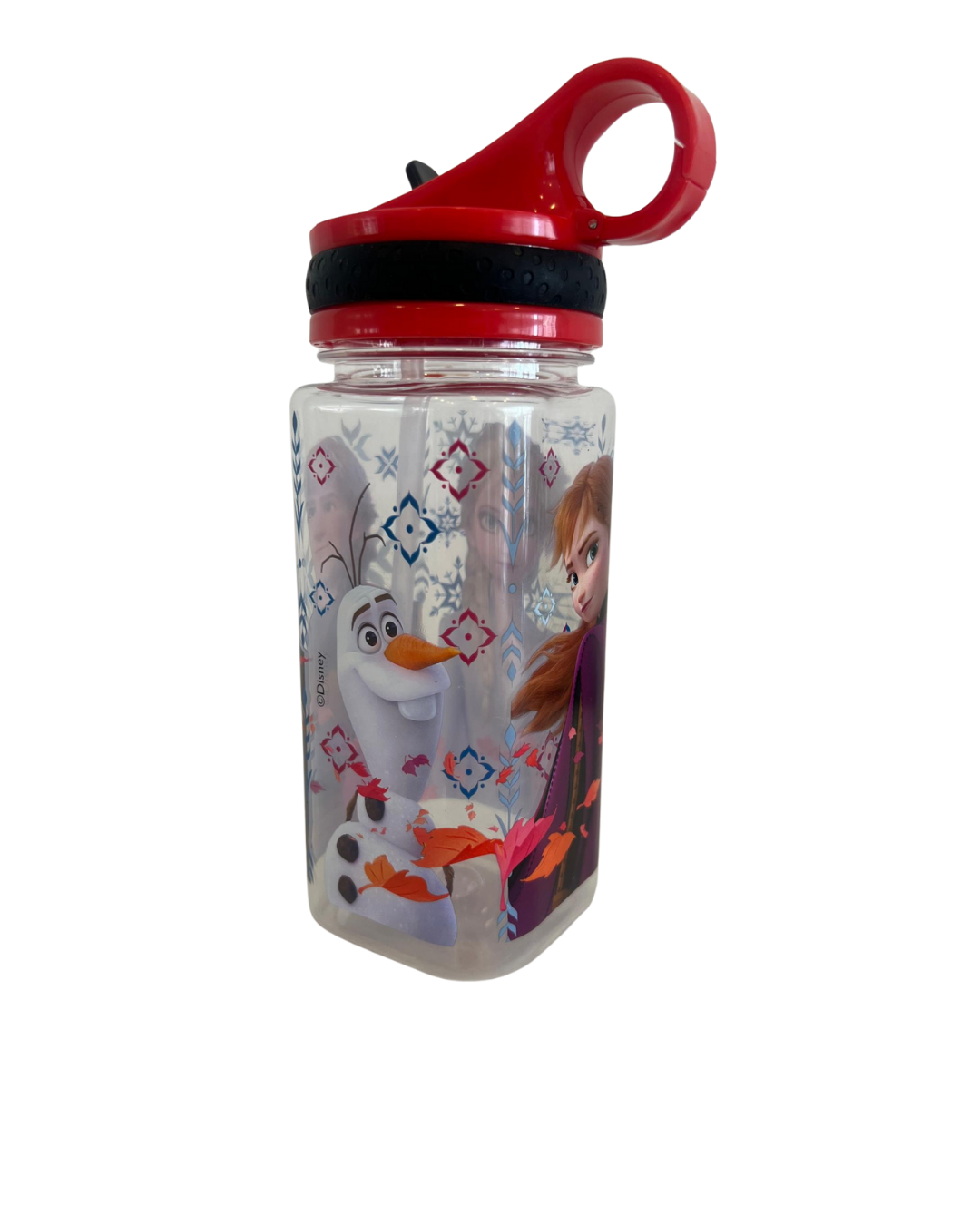 Frozen Water Bottle (300ml)