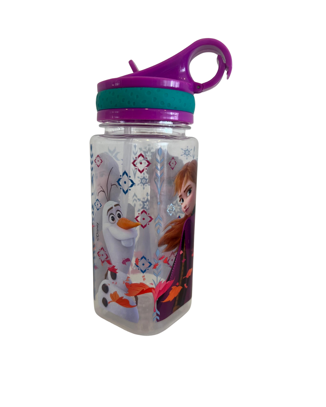 Frozen Water Bottle (300ml)