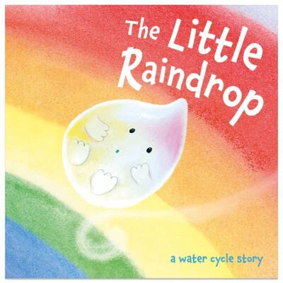 The Little Raindrop - Joanna Gray (Paperback)