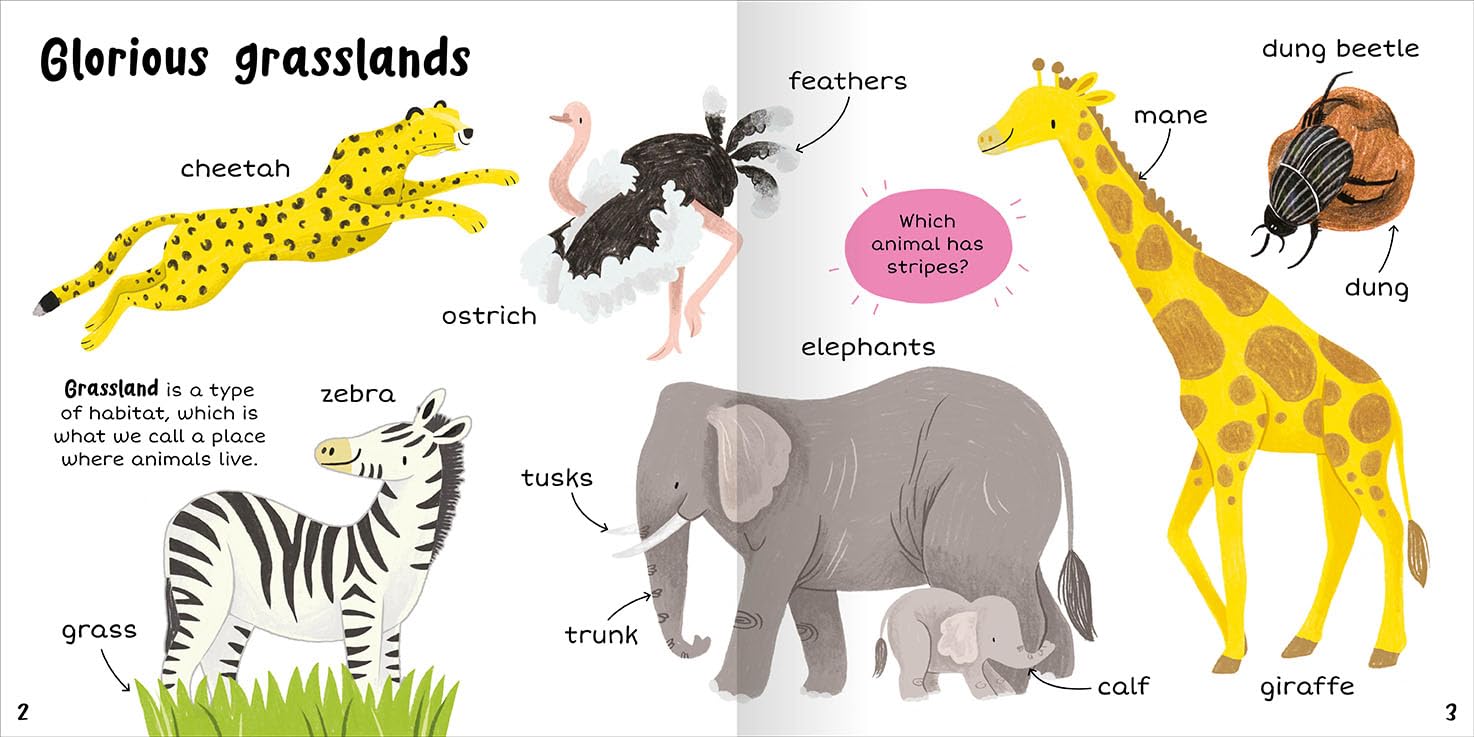 100+ First Words Animals - Miles Kelly (Paperback)