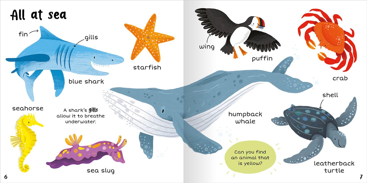 100+ First Words Animals - Miles Kelly (Paperback)