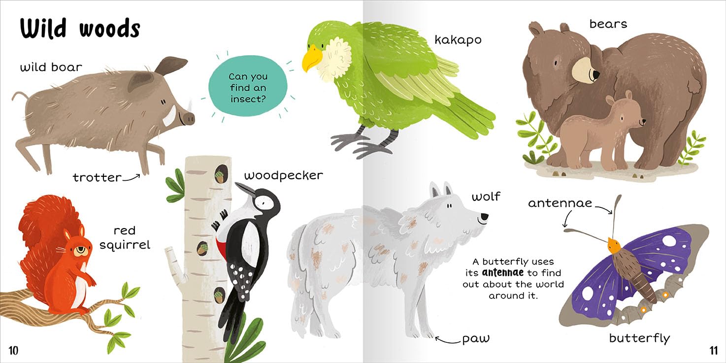 100+ First Words Animals - Miles Kelly (Paperback)