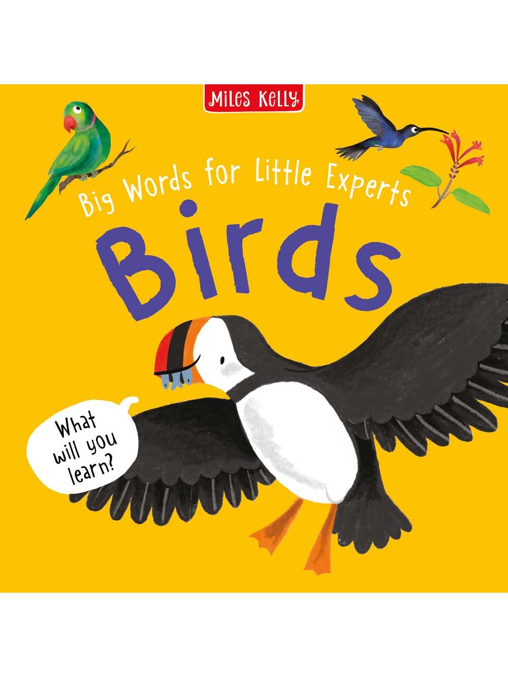 Big Words for Little Experts 'Birds' - Miles Kelly (Paperback)