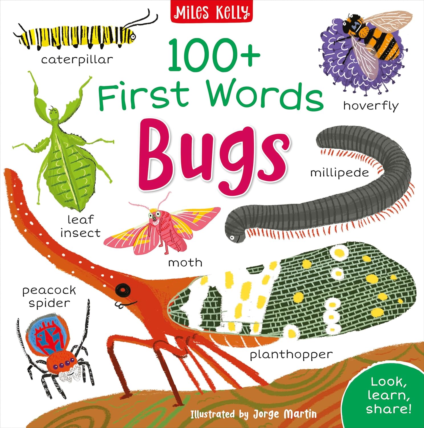 100+ First Words Bugs - Miles Kelly (Paperback)