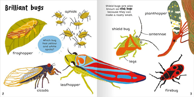 100+ First Words Bugs - Miles Kelly (Paperback)