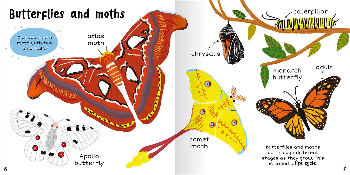 100+ First Words Bugs - Miles Kelly (Paperback)