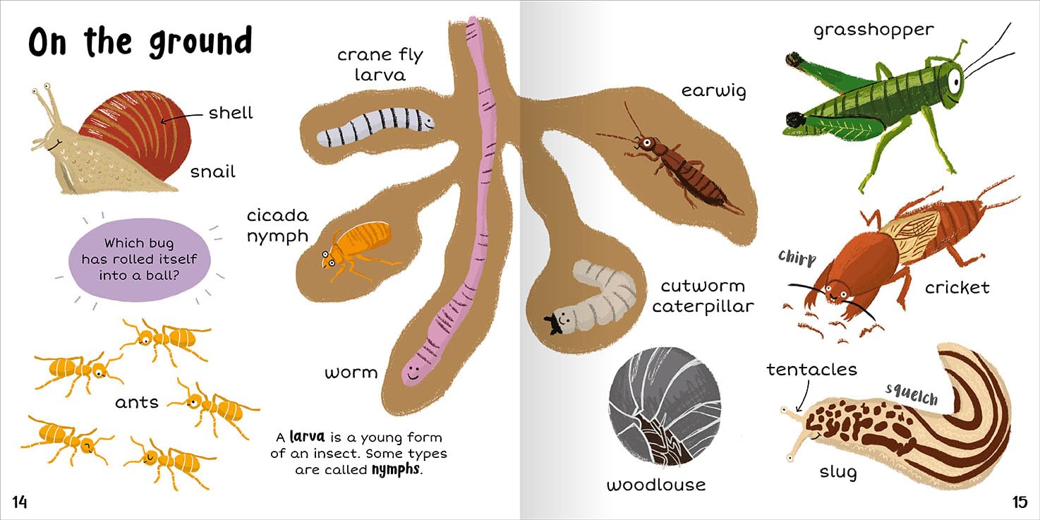 100+ First Words Bugs - Miles Kelly (Paperback)