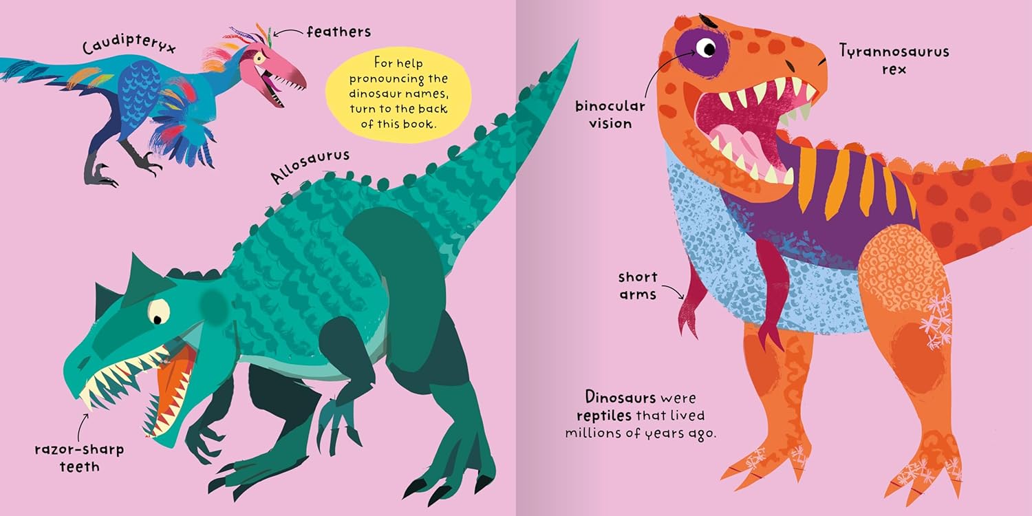 Big Words for Little Experts 'Dinosaurs' - Miles Kelly (Paperback)