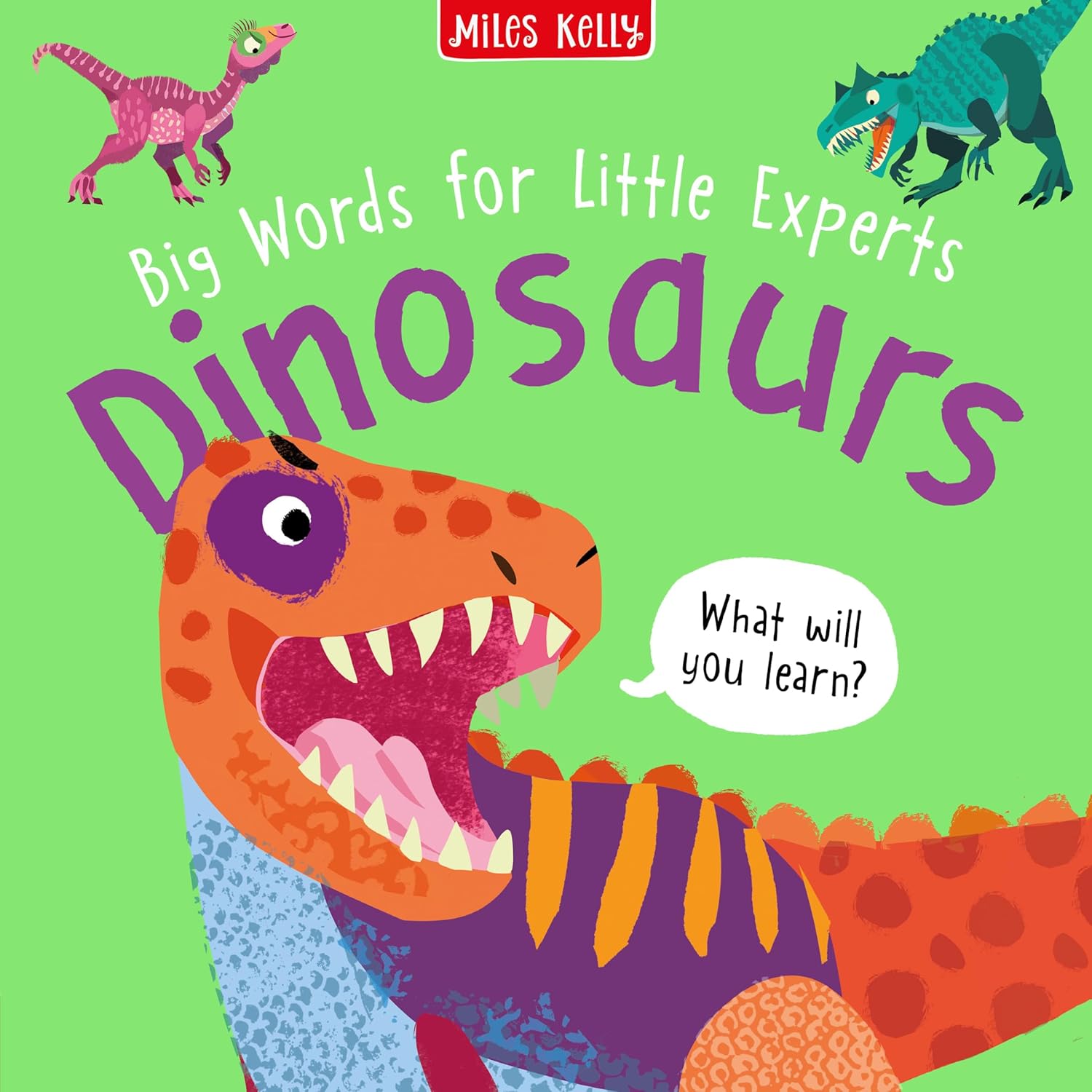 Big Words for Little Experts 'Dinosaurs' - Miles Kelly (Paperback)