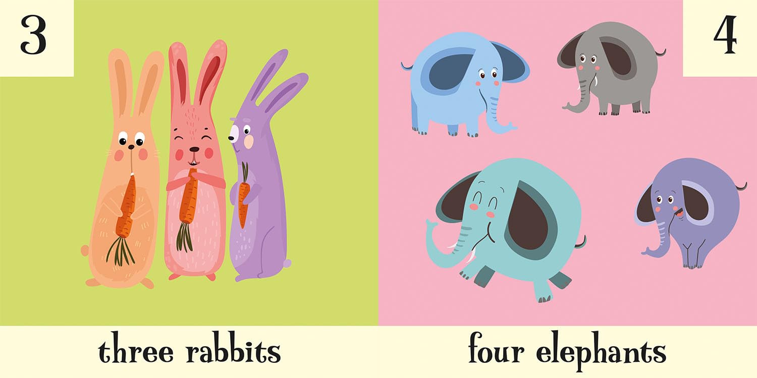 Animal 123 - Amber Lilly (Paperback)