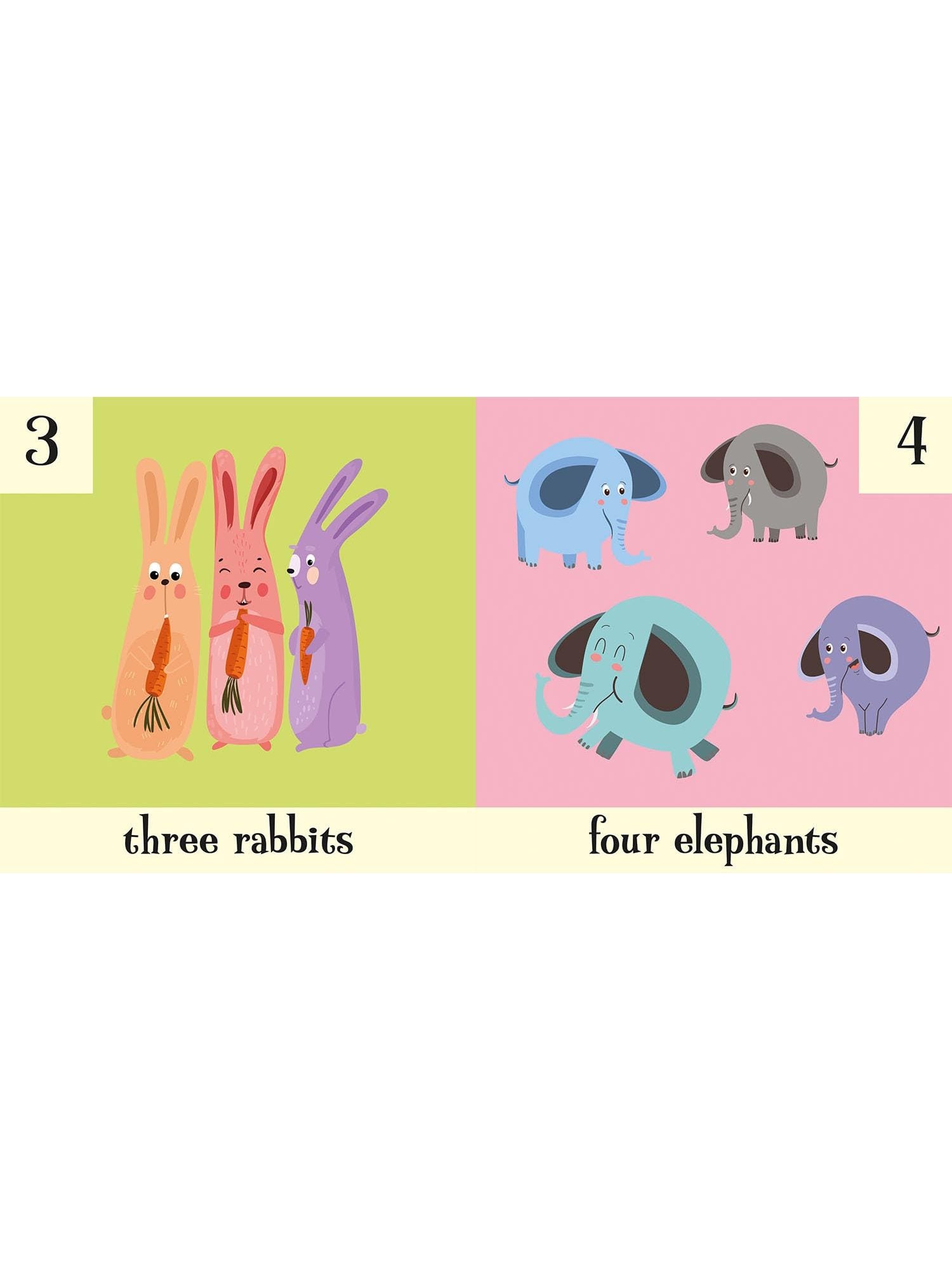 Animal 123 - Amber Lilly (Paperback)