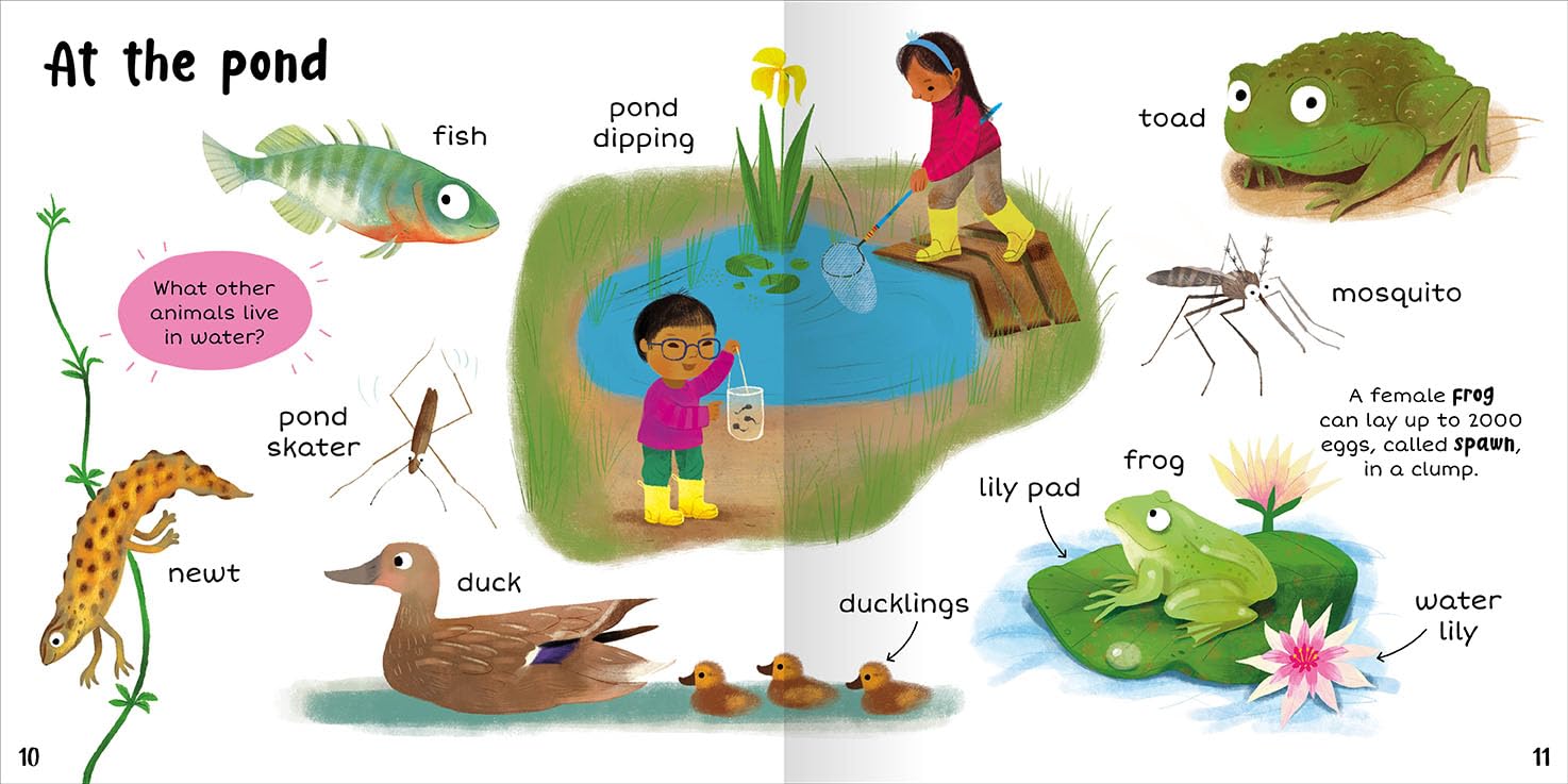 100+ First Words Nature - Miles Kelly (Paperback)