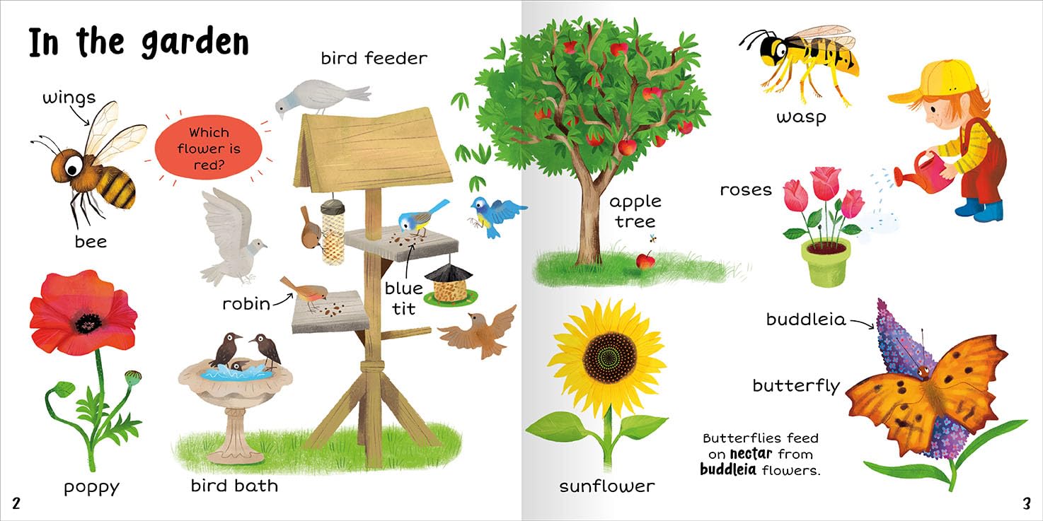 100+ First Words Nature - Miles Kelly (Paperback)