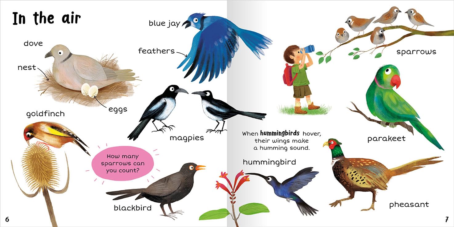 100+ First Words Nature - Miles Kelly (Paperback)