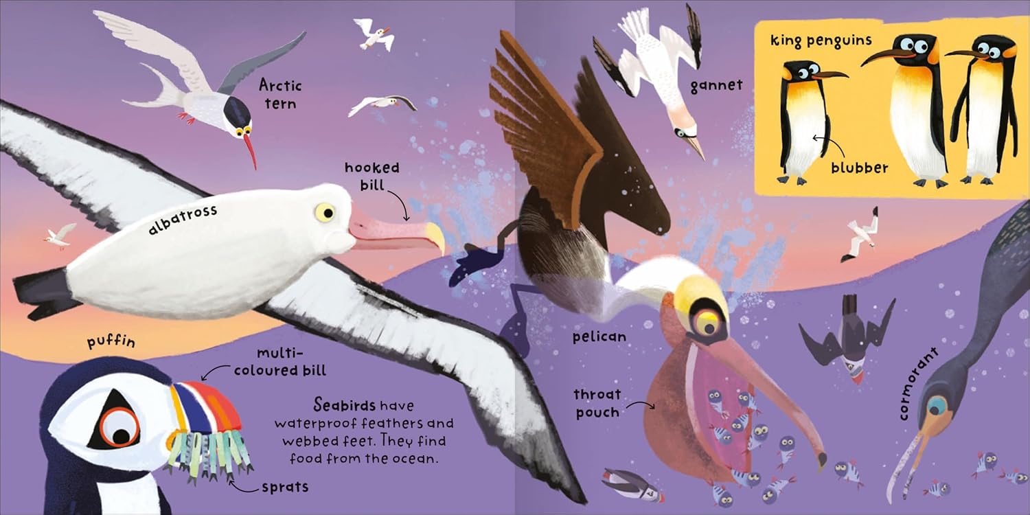 Big Words for Little Experts 'Oceans' - Miles Kelly (Paperback)