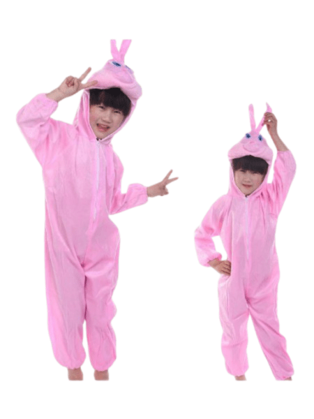 Bunny Rabbit Costume