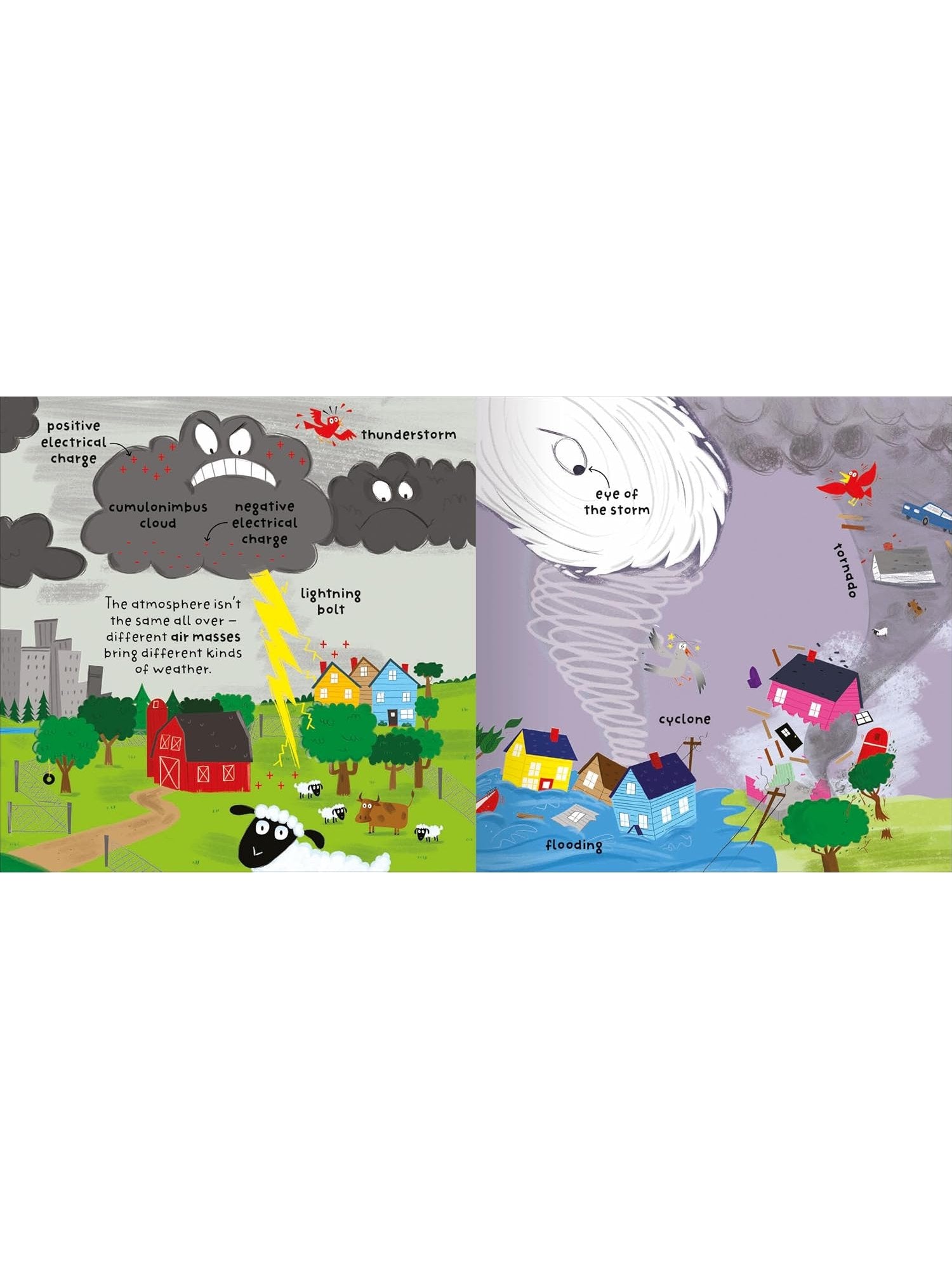 Big Words for Little Experts 'Weather' - Miles Kelly (Paperback)