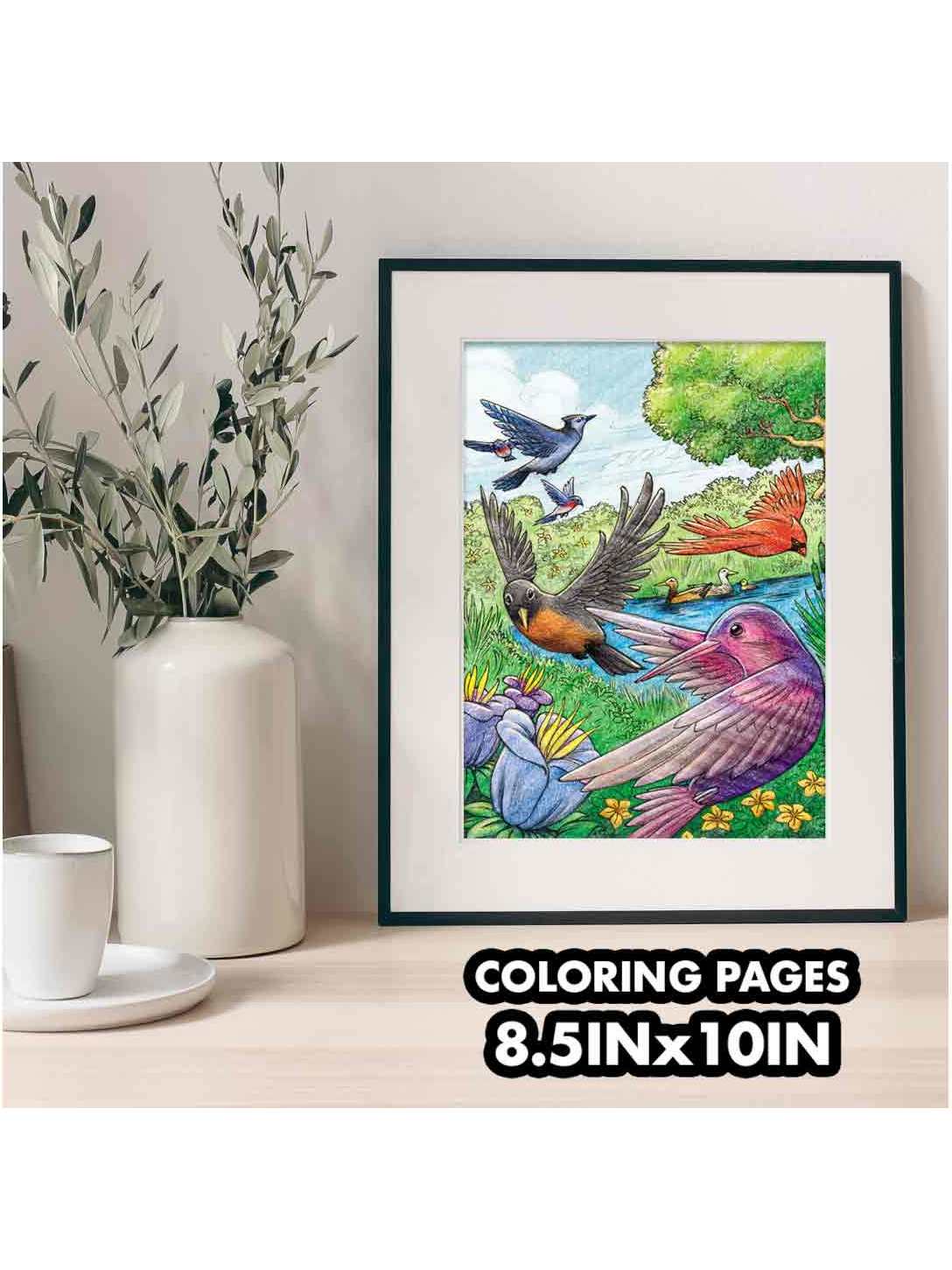 Crayola Bird Watching Coloring Book
