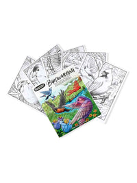 Crayola Bird Watching Coloring Book