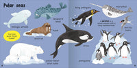 100+ First Words In The Sea - Miles Kelly (Paperback)
