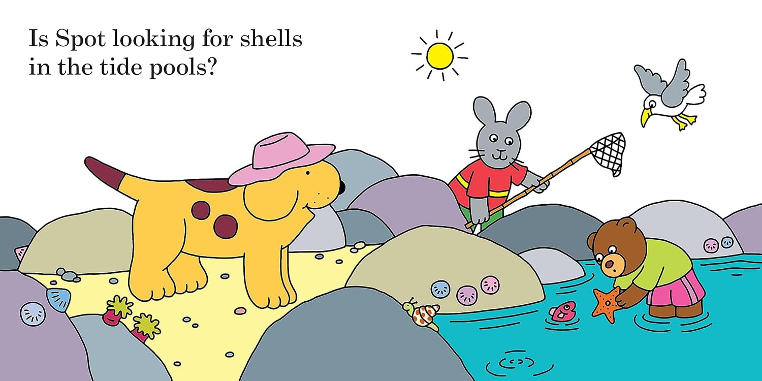 Find Spot at the Beach: A Lift-the-Flap Story - Eric Hill (Hardcover)