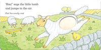 Fluffy Chick: An Easter touch-and-feel Book - Rod Campbell (Hardcover)