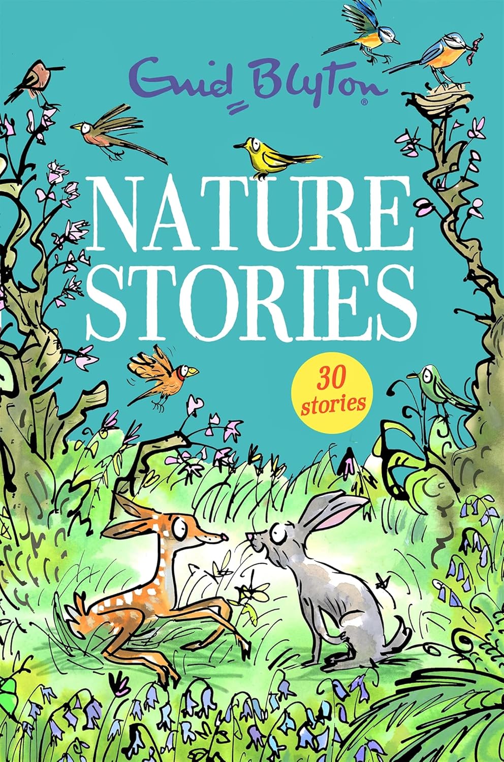Nature Stories - Enid Blyton (Paperback Novel)