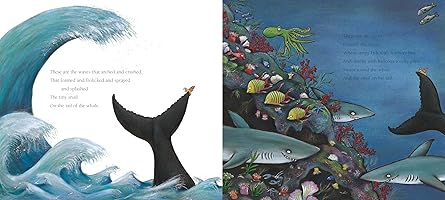 The Snail and the Whale - Julia Donaldson, Axel Scheffler (Hardcover)