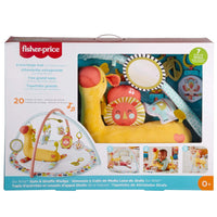 Fisher-Price Go Wild Gym & Giraffe Wedge Activity Gym - 0m+