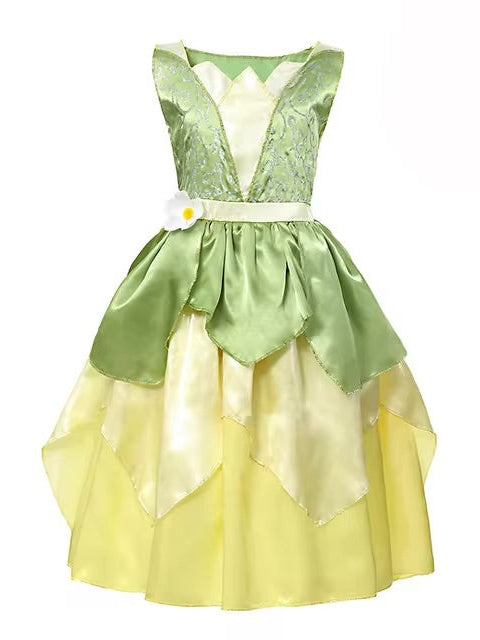 Princess Tiana Disney Costume