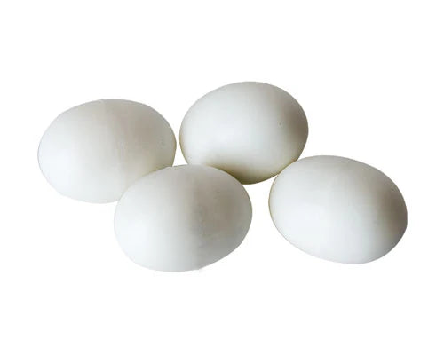 Paintable Eggs
