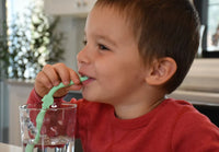 Melii Silicone Animal Straws with Cleaning Brush- Set of 6 pcs