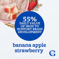 Gerber Multigrain & Fruit - Hearty Bits Banana Apple Strawberry Multigrain Cereal 8 oz(227g) - 12Months+