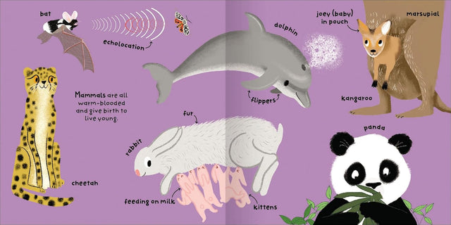 Big Words for Little Experts 'Animals' - Miles Kelly (Paperback)