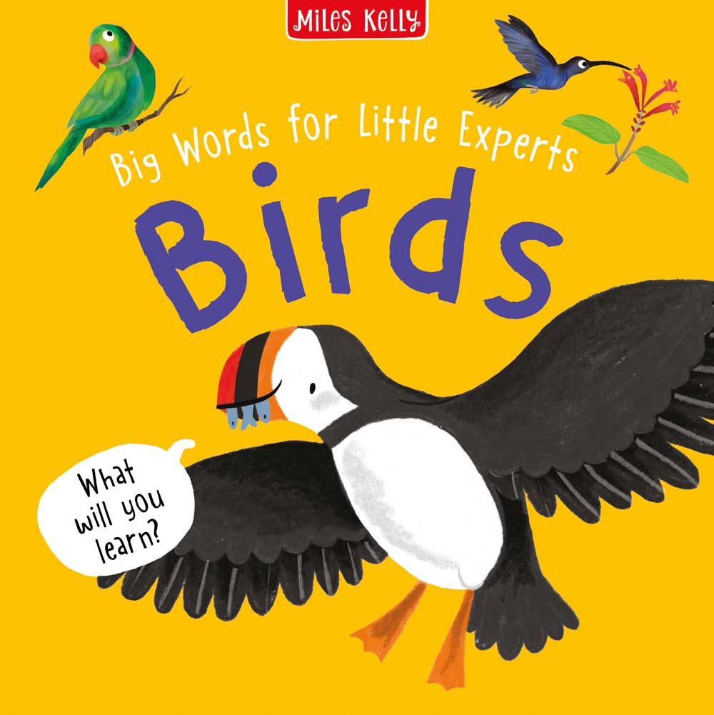 Big Words for Little Experts 'Birds' - Miles Kelly (Paperback)