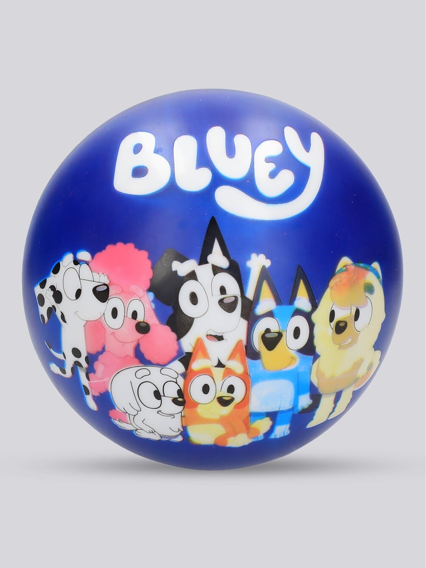 Blue Bluey Beach Ball