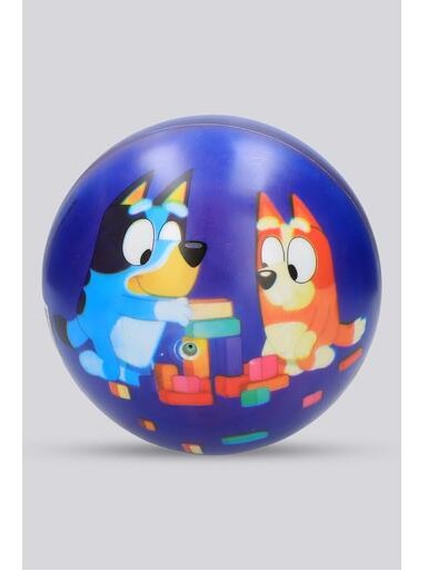 Blue Bluey Beach Ball