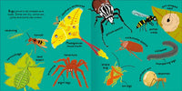Big Words for Little Experts 'Bugs' - Miles Kelly (Paperback)